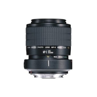 Canon-65mm f2.8 1-5x Macro Photo.jpg